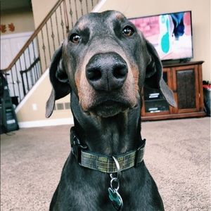 Meet your Posher, Anja